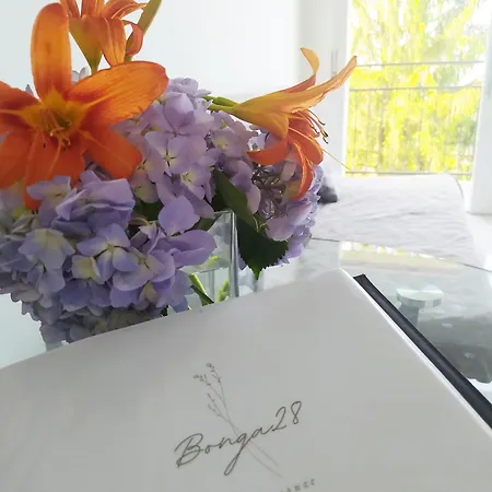 Appartement Bonga 28